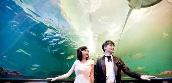 全球最意外的十座电梯中国两座入围自行车也可以用自动扶梯(图7)